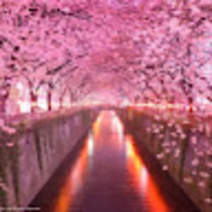 Meet your Posher, Margarita